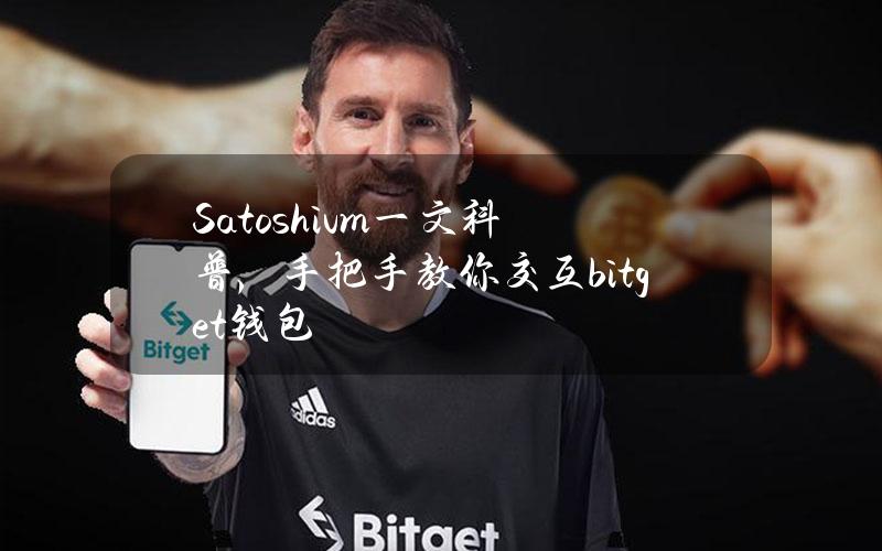 Satoshivm一文科普，手把手教你交互(bitget钱包)