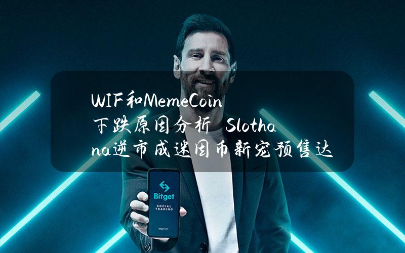 WIF和MemeCoin下跌原因分析　Slothana逆市成迷因币新宠预售达1500万美元